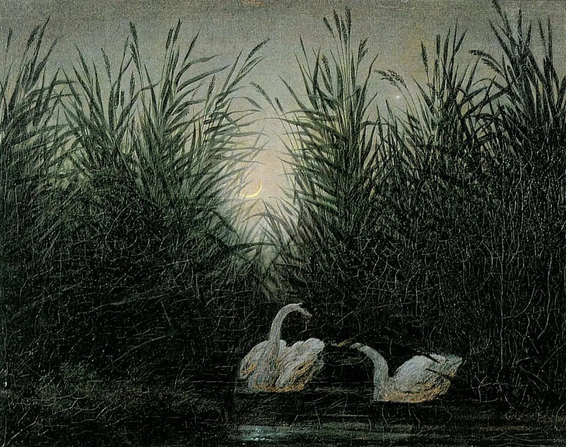 Zwanen in het riet bij de eerste stralen van de dageraad - Caspar David Friedrich