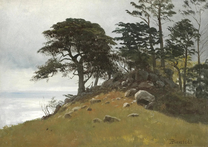 Cypress Point, Monterey - Albert Bierstadt

Source:
Cypress Point, Monterey - Albert Bierstadt