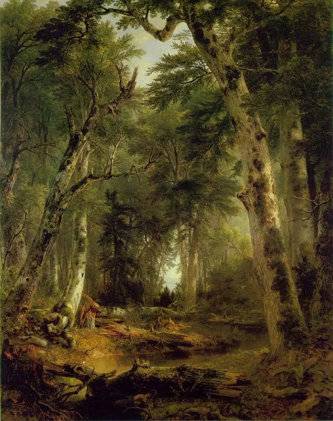 In de bossen - Asher Brown Durand

Source:
Dans les bois - Asher Brown Durand