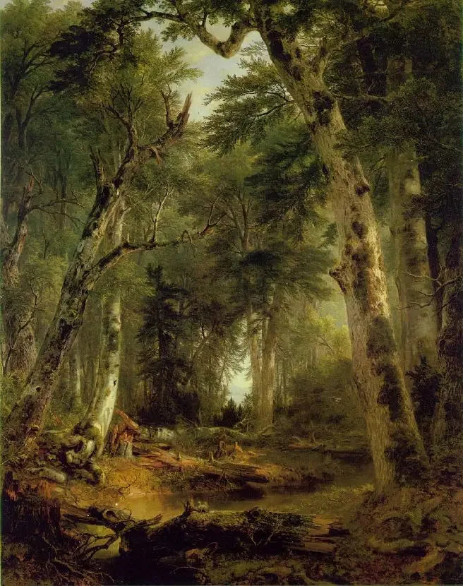 In de bossen - Asher Brown Durand

Source:
Dans les bois - Asher Brown Durand