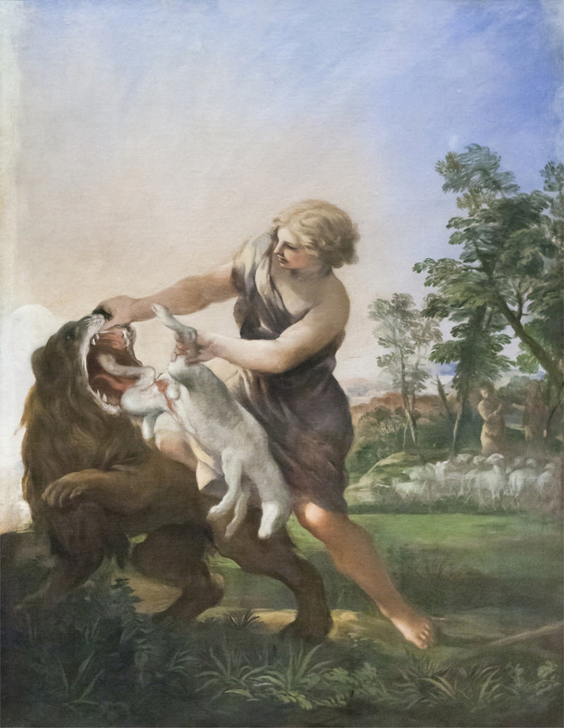 David doodt de leeuw - Pietro da Cortona