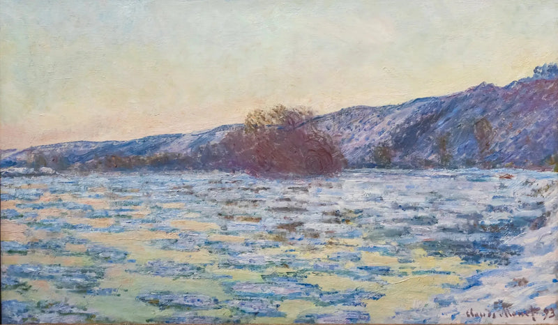 Het debacle van de Seine W1344 - Claude Monet
