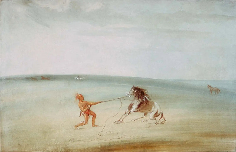 Ontleed het wilde paard - George Catlin

Source:
Décomposer le cheval sauvage - George Catlin