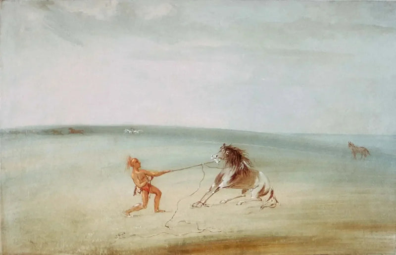 Ontleed het wilde paard - George Catlin

Source:
Décomposer le cheval sauvage - George Catlin