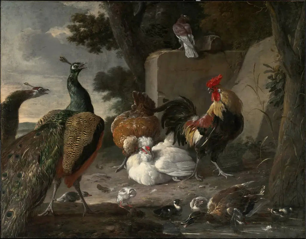 Des paons en compagnie de la volaille d’une basse-cour - Melchior de Hondecoeter - Alpha Reproduction