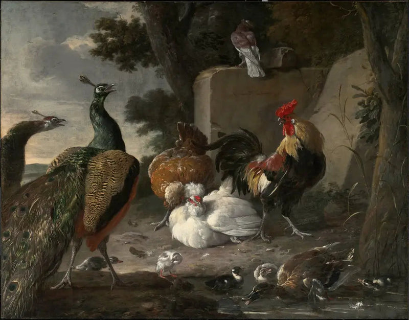 Pauwens in gezelschap van de kippen uit een boerderij - Melchior de Hondecoeter