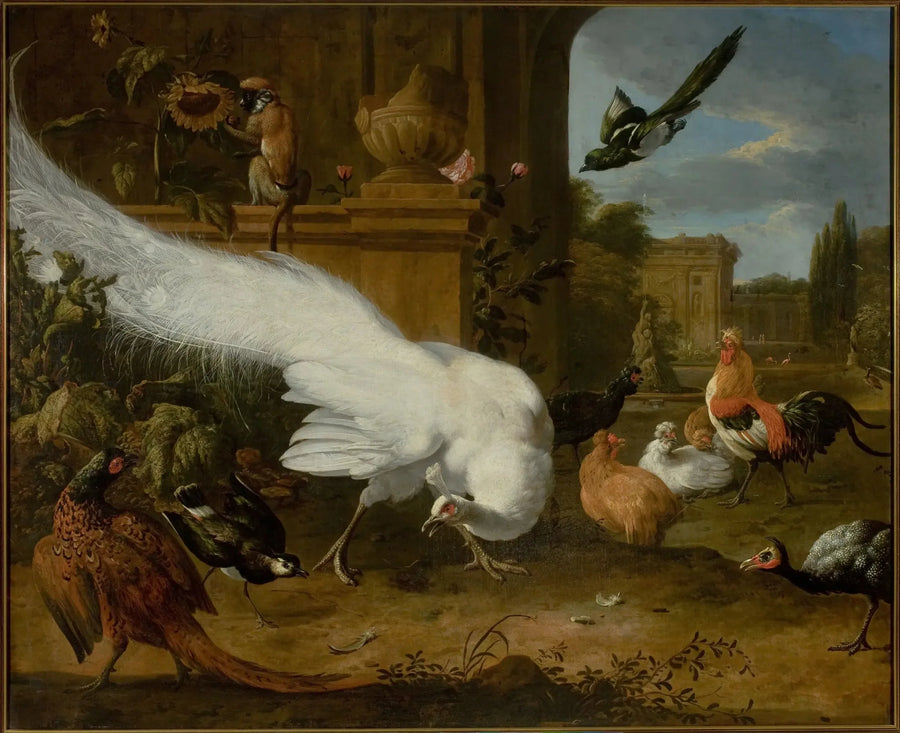 Vogels en een witte pauw - Melchior de Hondecoeter
