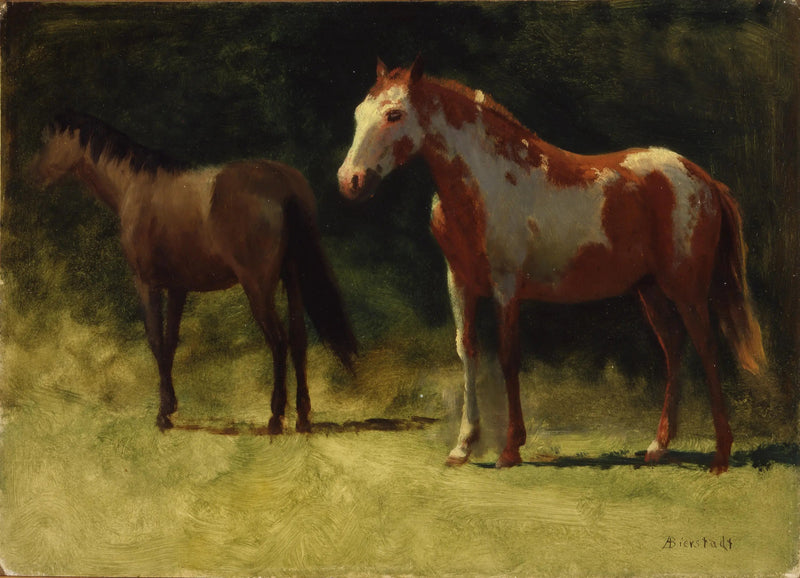 Twee paarden - Albert Bierstadt

Source:
Deux chevaux - Albert Bierstadt
