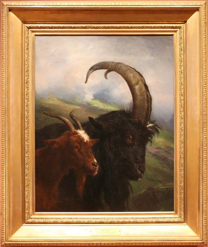 Twee geiten - Rosa Bonheur