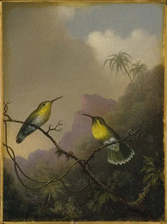 Twee kolibries: de amazili met koperkleurige staart - Martin Johnson Heade

Source:
Deux colibris : l'amazili à queue cuivrée - Martin Johnson Heade