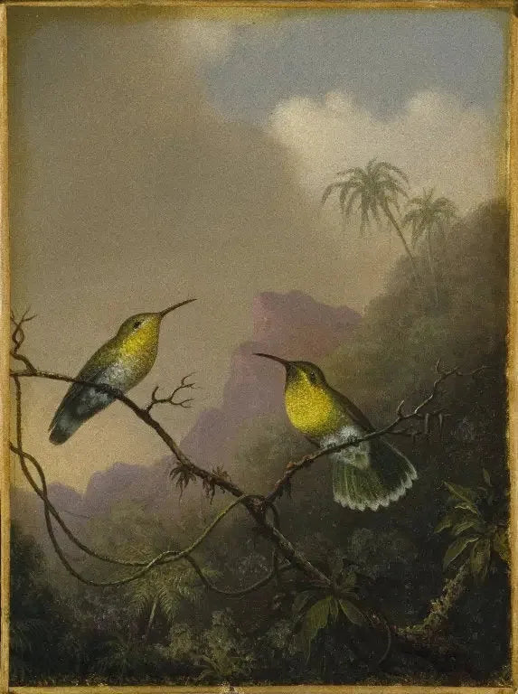 Twee kolibries: de amazili met koperkleurige staart - Martin Johnson Heade

Source:
Deux colibris : l'amazili à queue cuivrée - Martin Johnson Heade