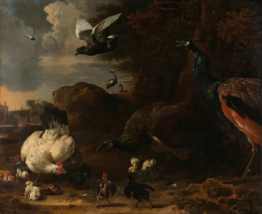 Twee pauwen die een kip met kuikens bedreigen, bekend als « de bedreigde kip » - Melchior de Hondecoeter