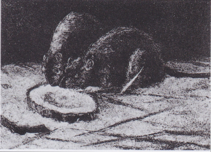 Twee ratten - Vincent van Gogh