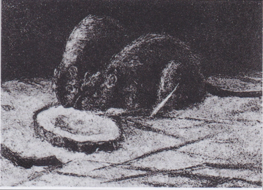 Twee ratten - Vincent van Gogh