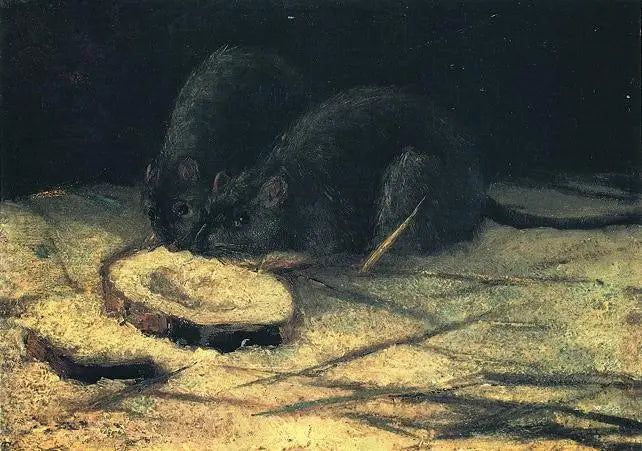 Twee ratten - Vincent van Gogh