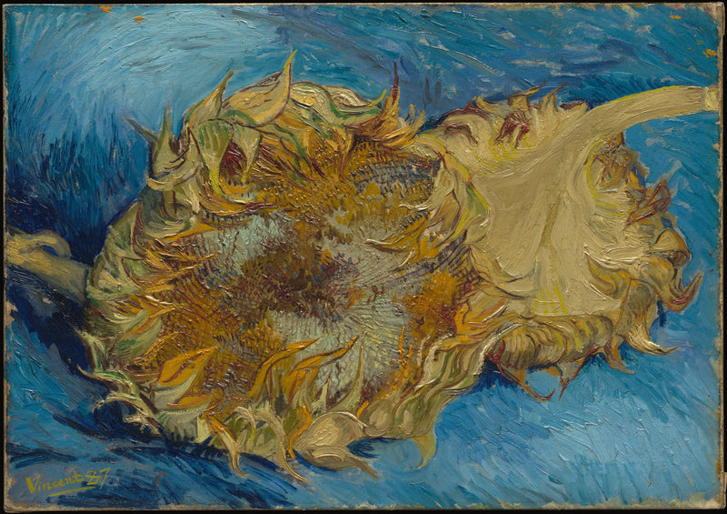Twee Zonnebloemen - Vincent van Gogh