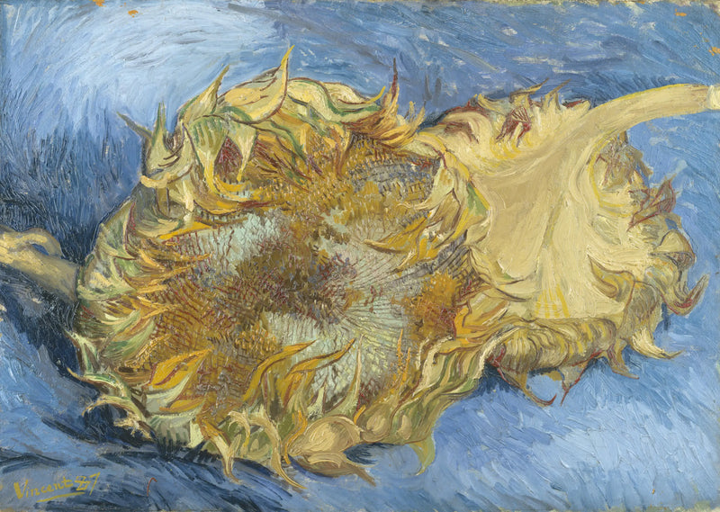 Twee Zonnebloemen - Vincent van Gogh
