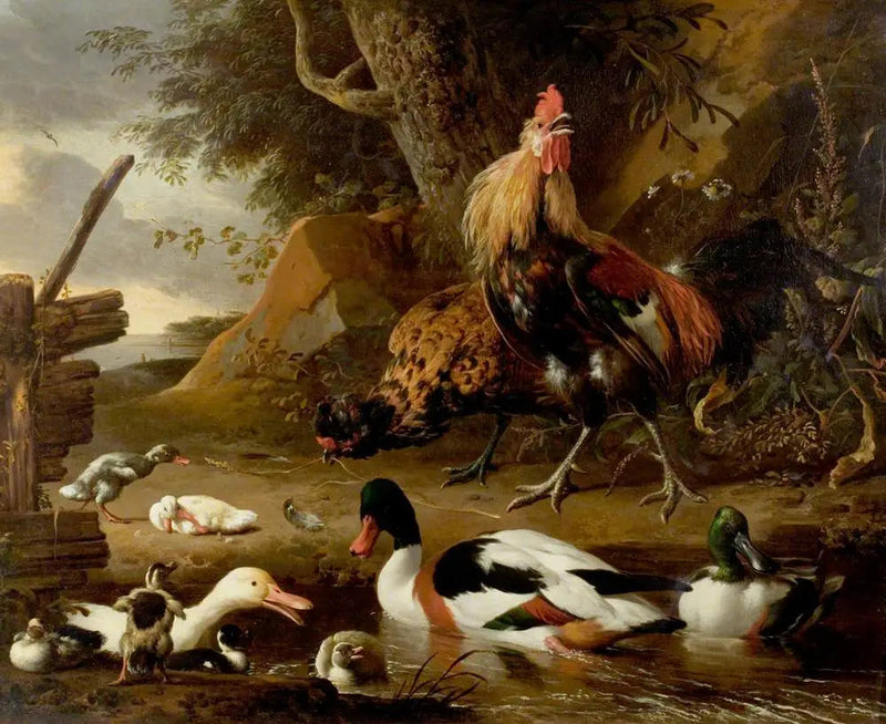 Twee gevogelte en eenden op een vijver - Melchior de Hondecoeter