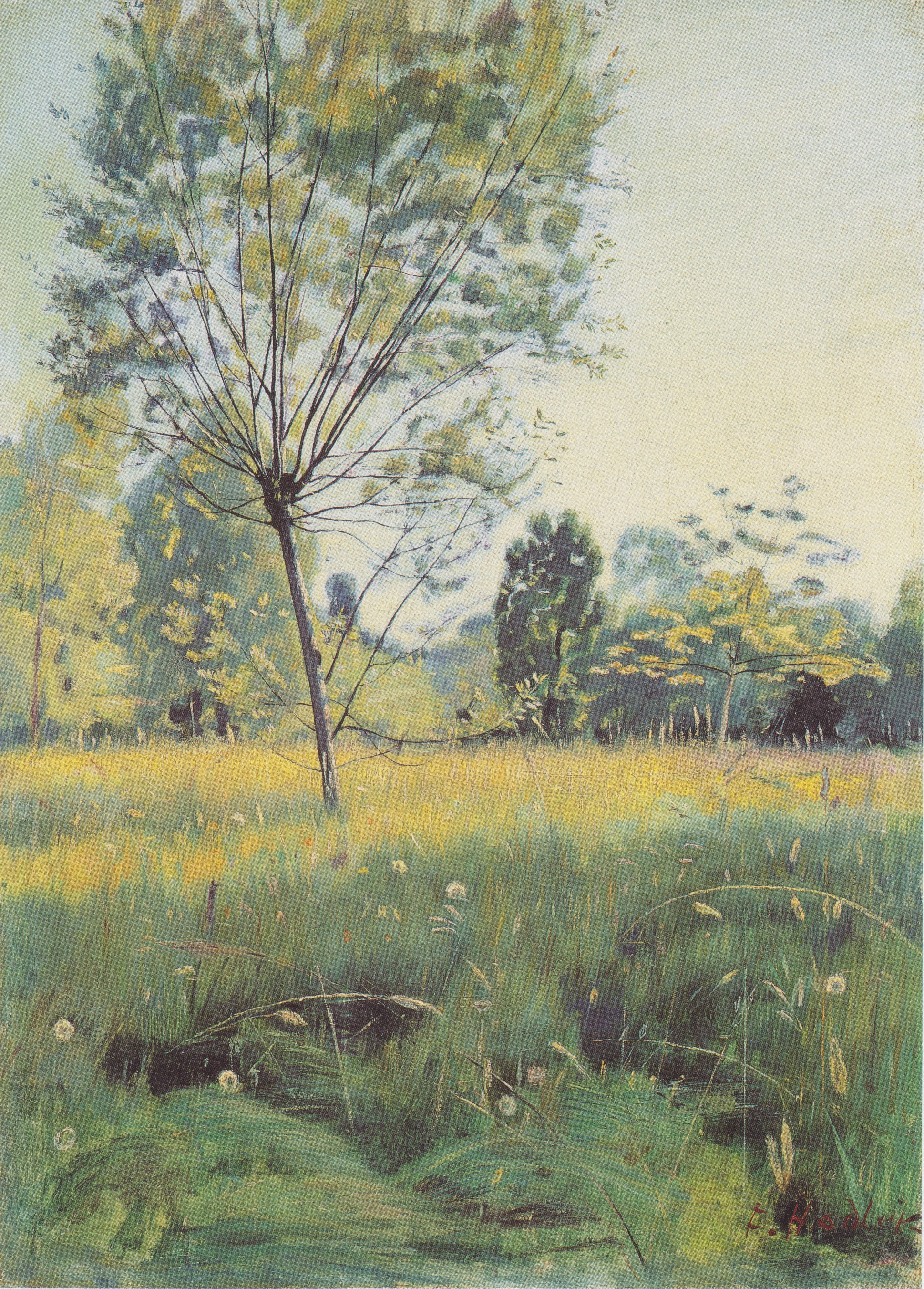 Die goldene Aue - Ferdinand Hodler image 1 copie peinte à la main à l’huile