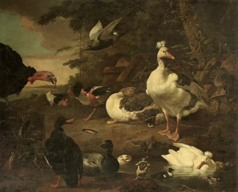 Kalkoen, ganzen, Belon-ooievaar en andere gevogelte, in een landschap met een beek - Melchior de Hondecoeter