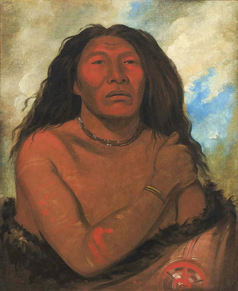 Duhk-gits-o-ó-see, Ours Rouge, een voorname krijger - George Catlin

Source:
Duhk-gits-o-ó-see, Ours Rouge, un guerrier distingué - George Catlin