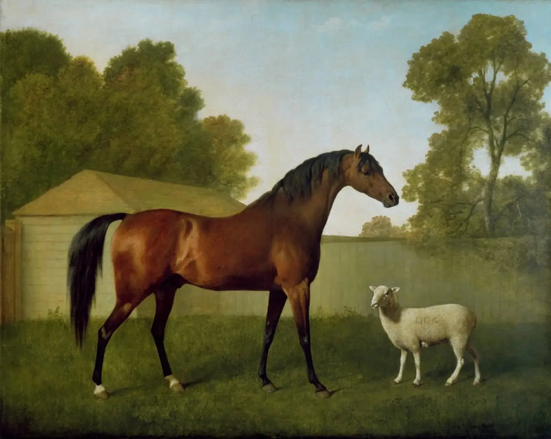 Dungannon, eigendom van kolonel O'Kelly, geschilderd in een weiland met een schaap - George Stubbs

Source:
Dungannon, propriété du colonel O'Kelly, peint dans un paddock avec un mouton - George Stubbs