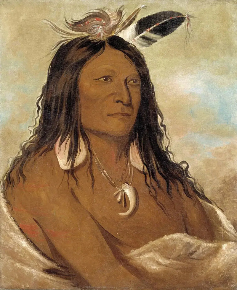 Eé-shah-kó-nee, Arc en quiver, Chef de la tribu - George Catlin

Source:
Eé-shah-kó-nee, Arc et carquois, Premier chef de la tribu - George Catlin