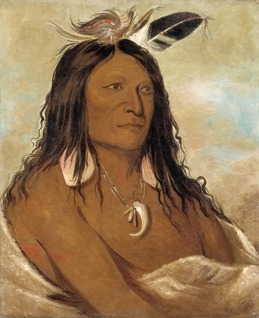 Eé-shah-kó-nee, Arc en quiver, Chef de la tribu - George Catlin

Source:
Eé-shah-kó-nee, Arc et carquois, Premier chef de la tribu - George Catlin