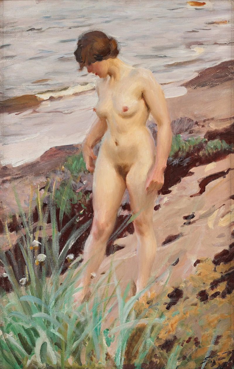 Sandhamneffect - Anders Zorn

Source:
Effet Sandhamn - Anders Zorn