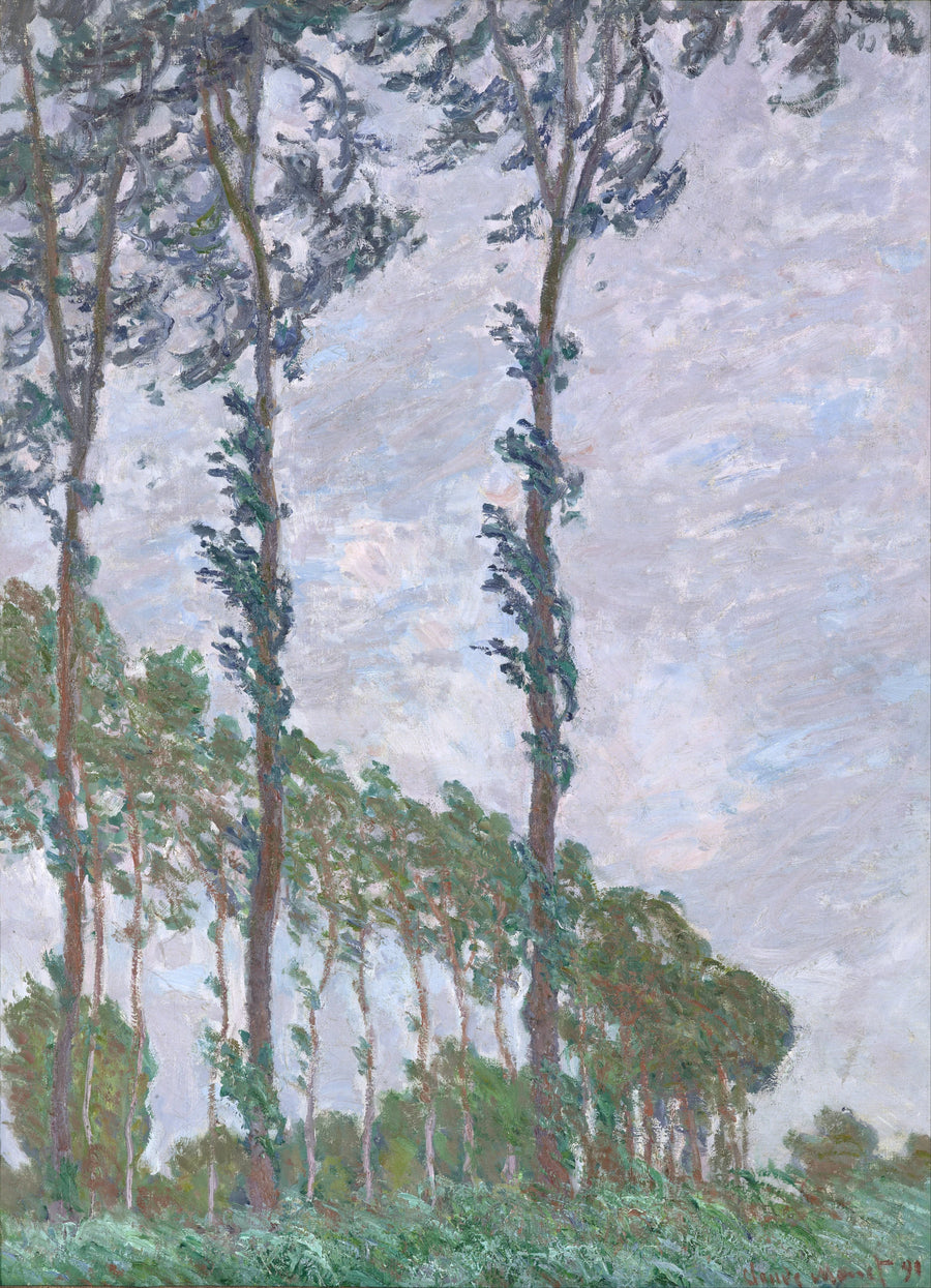 Wind effect, serie van de populieren - Claude Monet