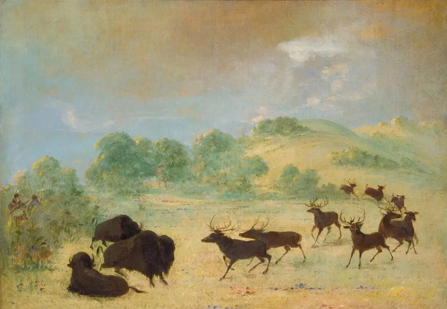Elk en bizon die kennis maken, Texas - George Catlin

Source:
Élan et bison faisant connaissance, Texas - George Catlin