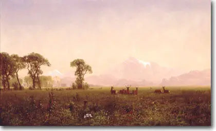 Elk graast in de Wind River-regio - Albert Bierstadt

Source:
Élans broutant dans la région de Wind River - Albert Bierstadt