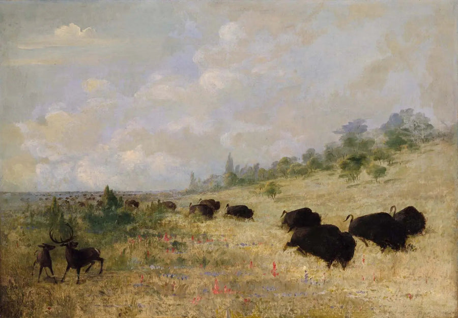 Elk en bizons die tussen de bloemen van de weiden grazen, Texas - George Catlin

Source:
Élans et bisons broutant parmi les fleurs des prairies, Texas - George Catlin