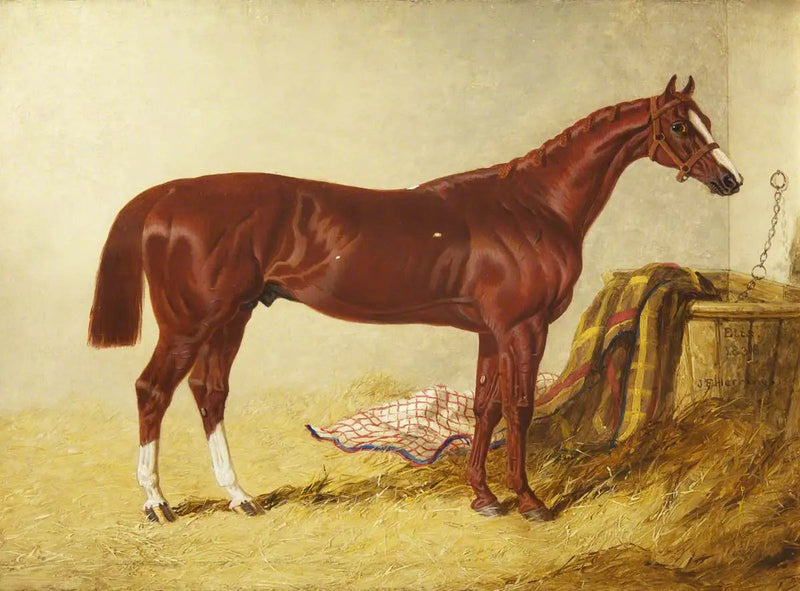 Elis, winnaar van de St Leger Stakes, 1836, in een aparte box - John Frederick Herring, Sr.

Source:
Elis, vainqueur du St Leger Stakes, 1836, dans un box détaché - John Frederick Herring, Sr.