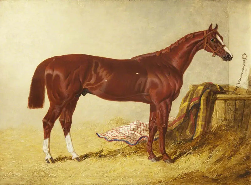 Elis, winnaar van de St Leger Stakes, 1836, in een aparte box - John Frederick Herring, Sr.

Source:
Elis, vainqueur du St Leger Stakes, 1836, dans un box détaché - John Frederick Herring, Sr.
