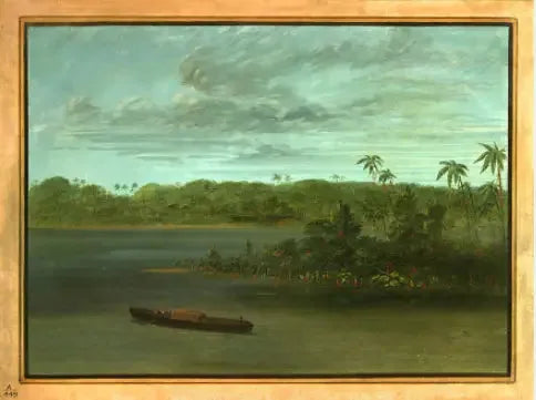Embouchure van de Rio Purus - George Catlin

Source:
Embouchure du Rio Purus - George Catlin