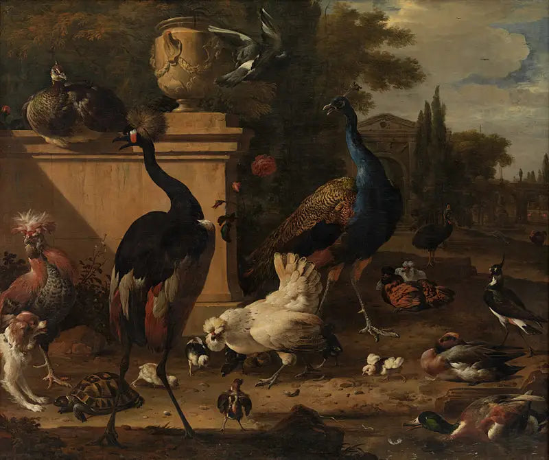 Kippenhok in een landhuis - Melchior de Hondecoeter