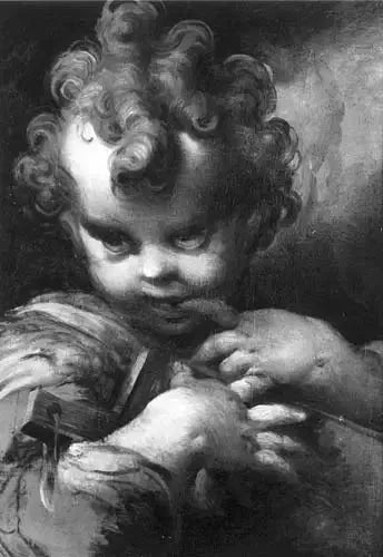 Kind Sint-Jan - Parmigianino