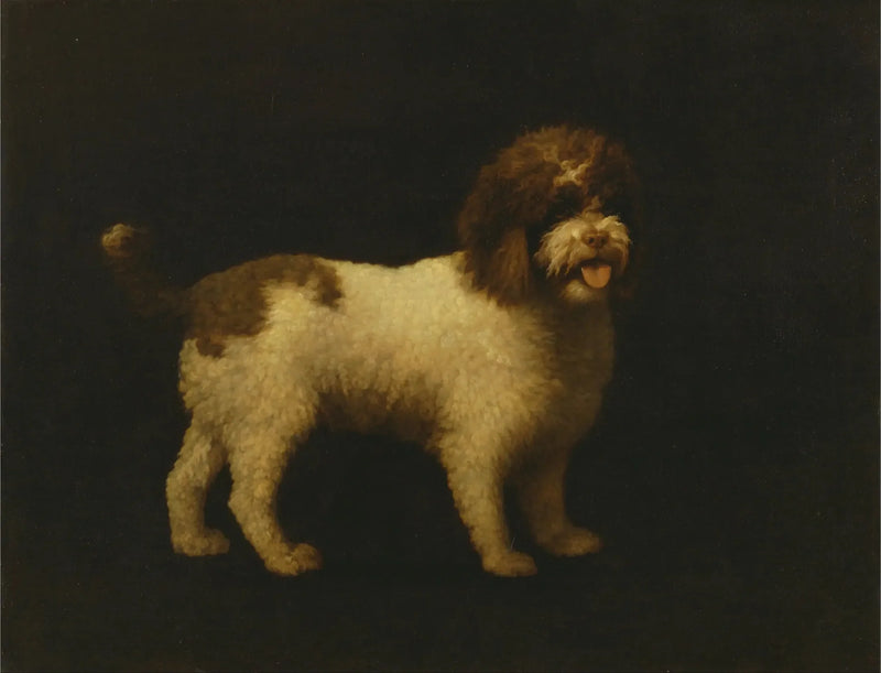 Waterhond - George Stubbs

Source:
Épagneul d'eau - George Stubbs