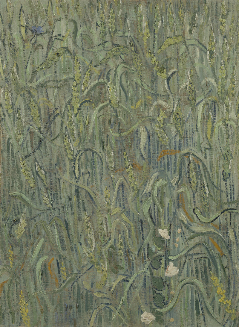 Korenaren - Vincent van Gogh