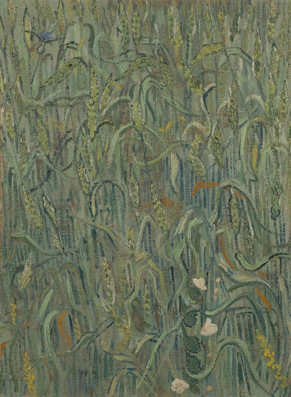 Épis de blé - Vincent van Gogh - Alpha Reproduction