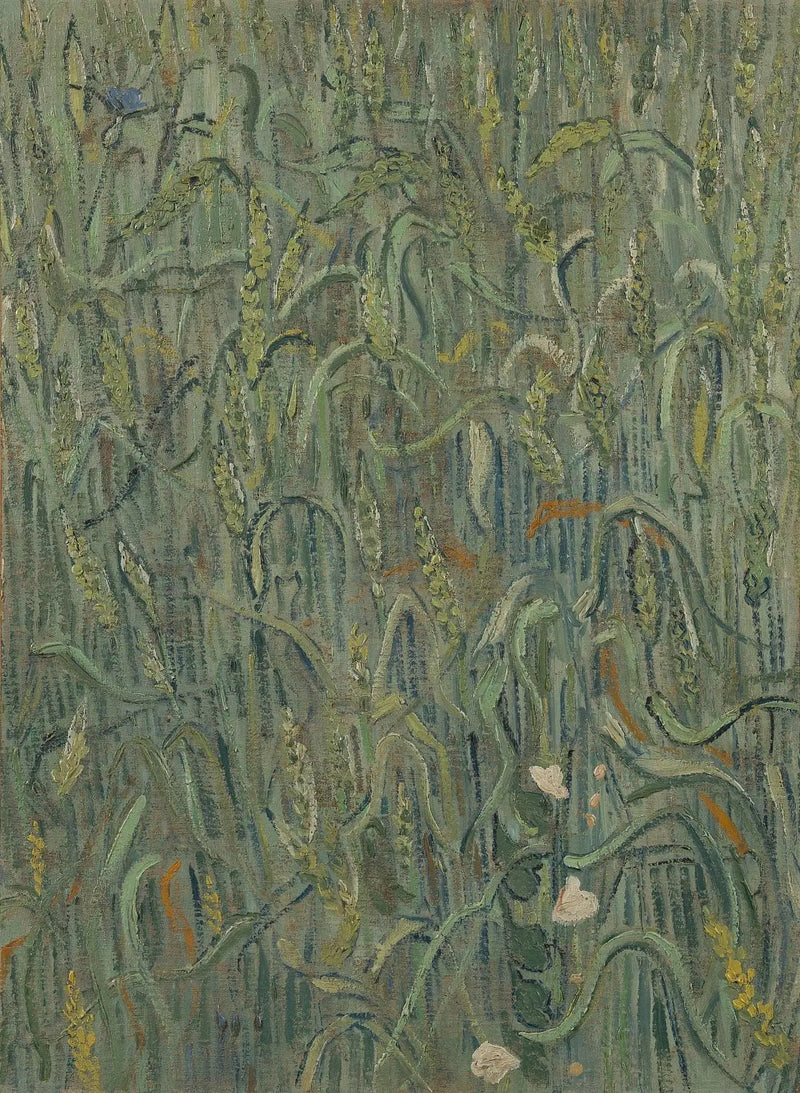 Korenaren - Vincent van Gogh