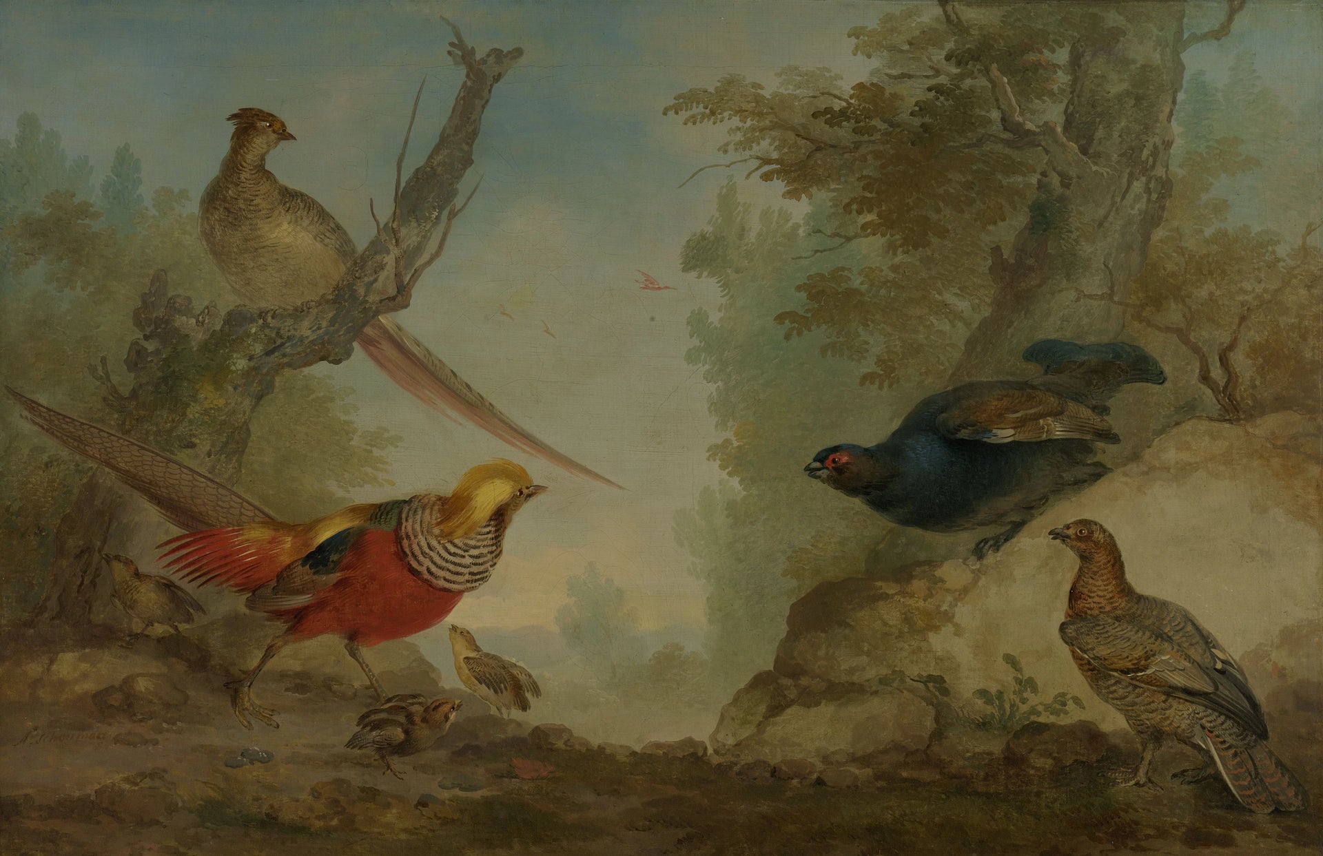Faisans - Aert Schouman