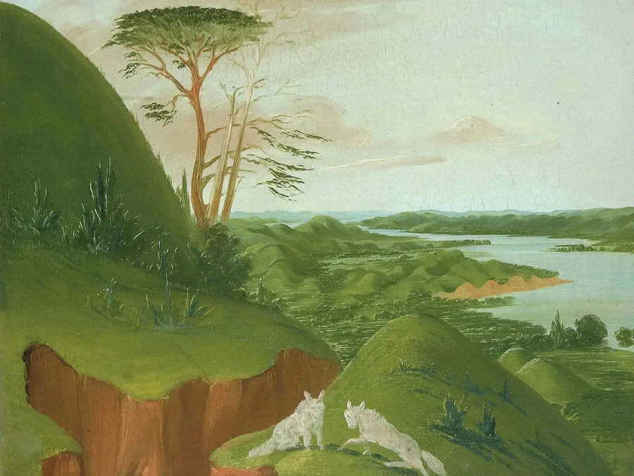 Rivierkliffen met witte wolven op de voorgrond, Hoge Missouri - George Catlin

Source:
Falaises fluviales avec des loups blancs au premier plan, Haut-Missouri - George Catlin