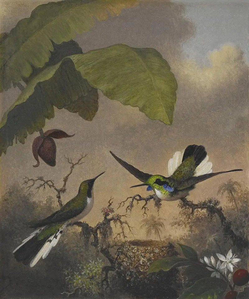 Zwarte Oor Fee - Martin Johnson Heade

Source:
Fée aux oreilles noires - Martin Johnson Heade