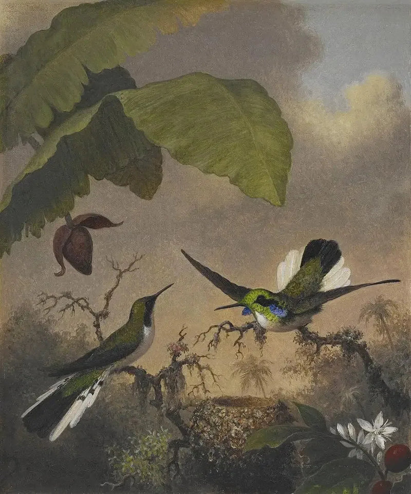 Zwarte Oor Fee - Martin Johnson Heade

Source:
Fée aux oreilles noires - Martin Johnson Heade