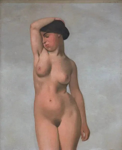 Naakte vrouw met een opgetrokken beha - Félix Vallotton

Source:
Femme nue avec un soutien-gorge relevé - Félix Vallotton