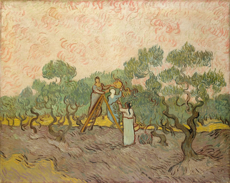 Vrouwen die olijven plukken - Vincent van Gogh