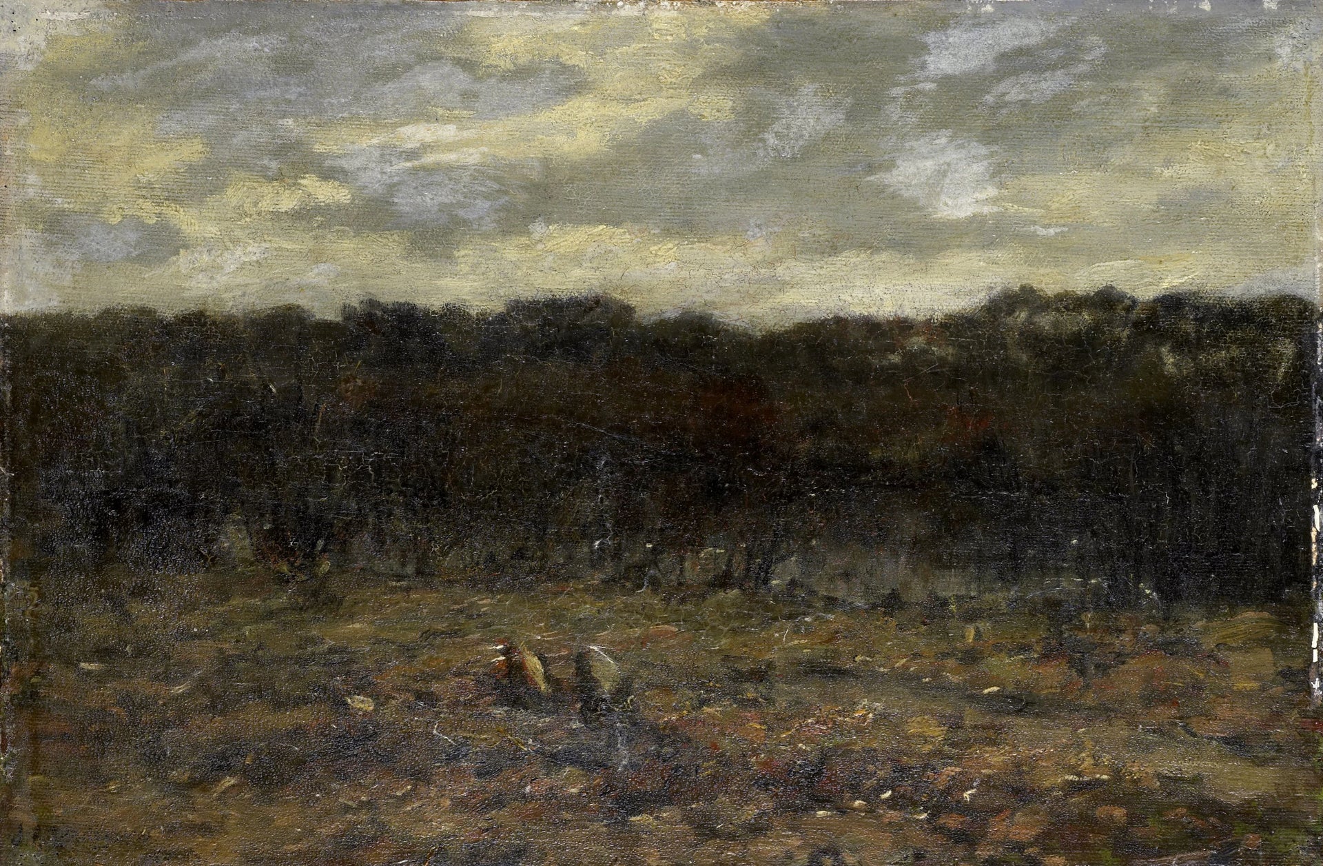 Fen sur la bruyère - Jan Adam Zandleven