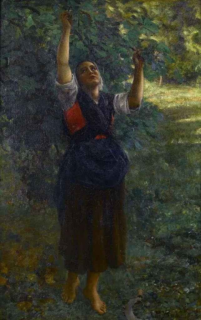 Meisje dat vijgen plukt - Jules Breton